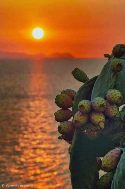 A Pozzallo Vicino Al Mare Villa Exteriör bild