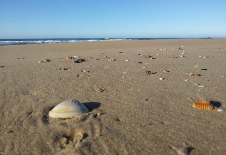 A Pozzallo Vicino Al Mare Villa Exteriör bild